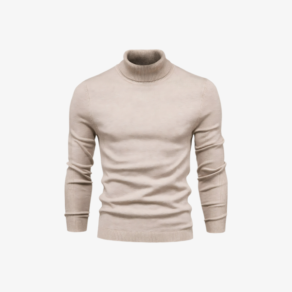 Turtleneck Sweatshirt