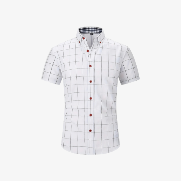 Button Down Shirt